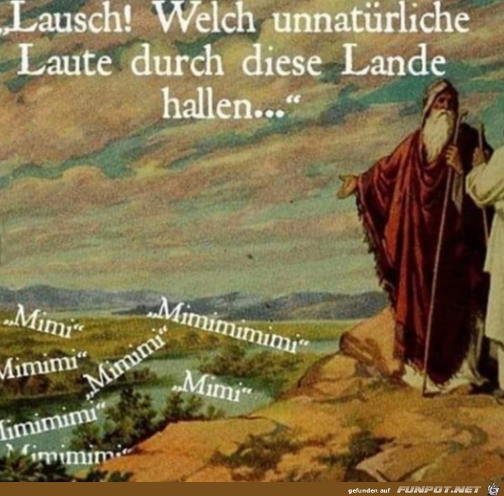 Komische Laute