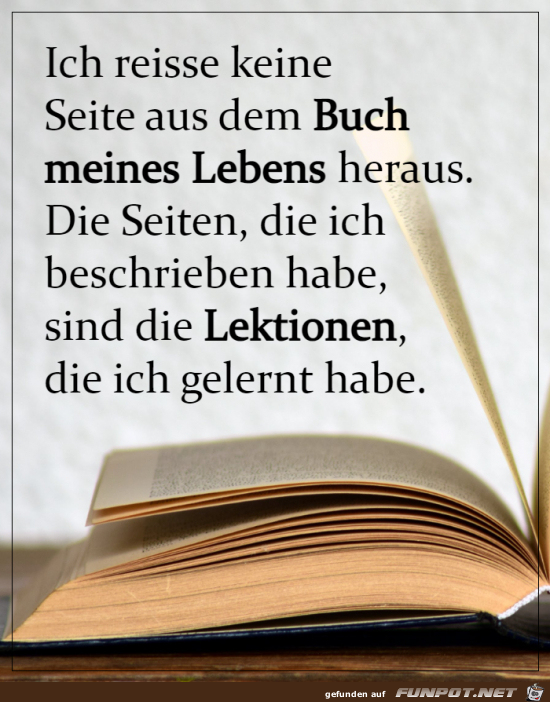 Seite in meinem Buch