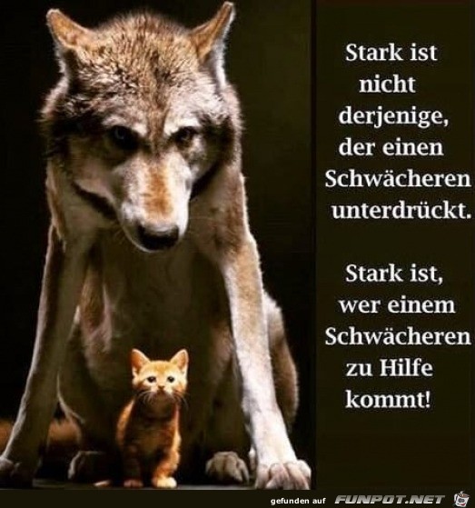 Stark ist