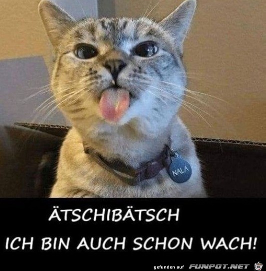 Bin auch wach