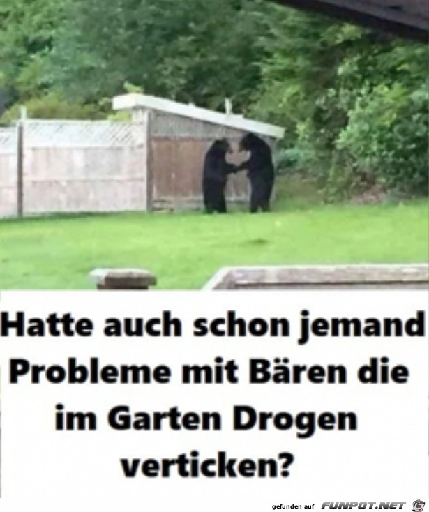 Bren im Garten