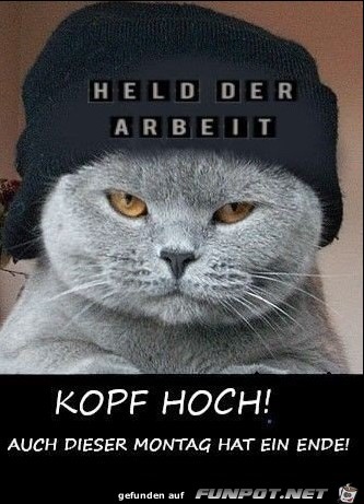 Kopf hoch