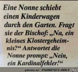 Ein Kardinalfehler