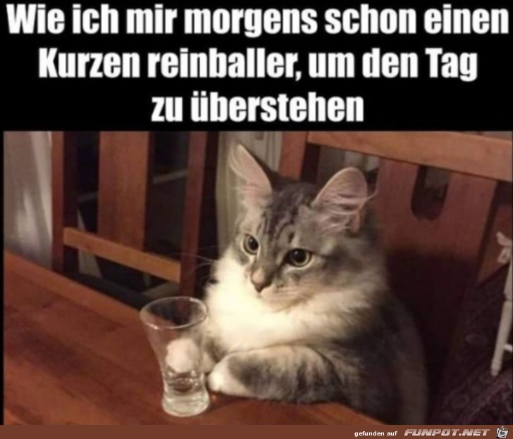 witzige Bilder aus verschiedenen Blogs