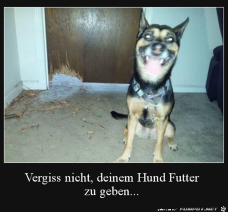 War kein Futter da