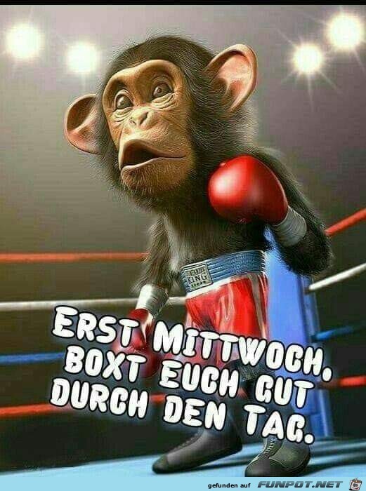 Erst Mittwoch