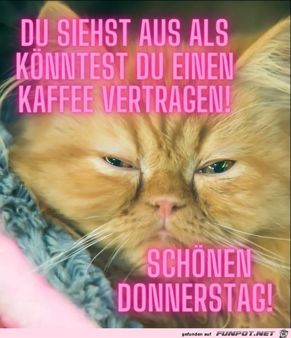 Schoenen Donnerstag