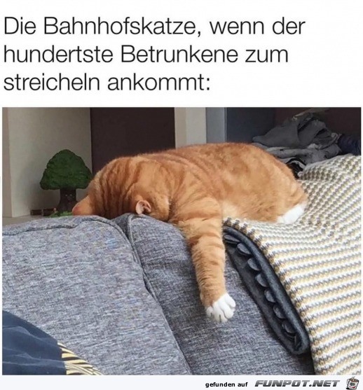 Nicht schon wieder