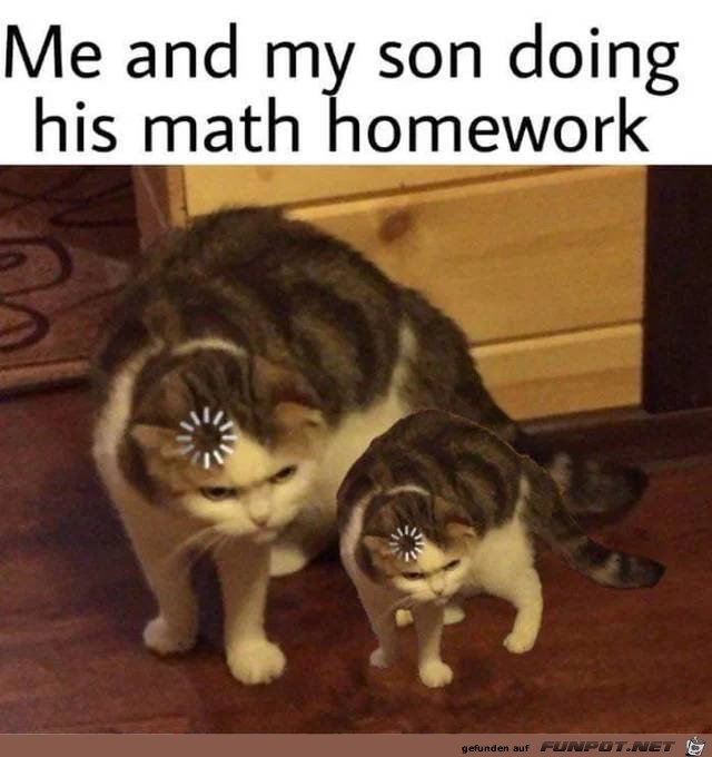 Blde Mathe-Hausaufgaben