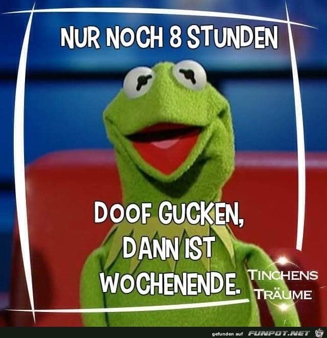 Nur noch 8 Stunden