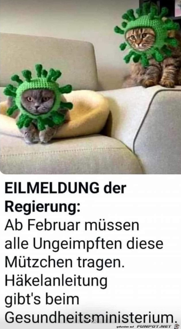 Anleitung