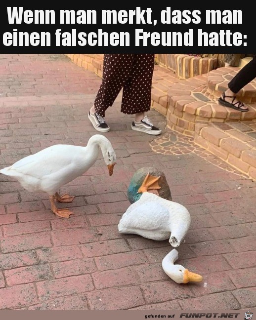 Falscher Freund