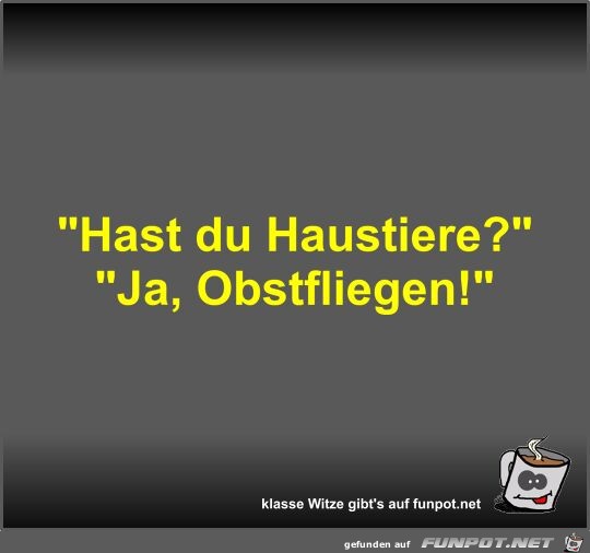 Hast du Haustiere?