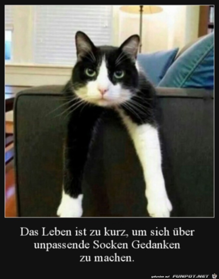 Zwei unterschiedliche Socken