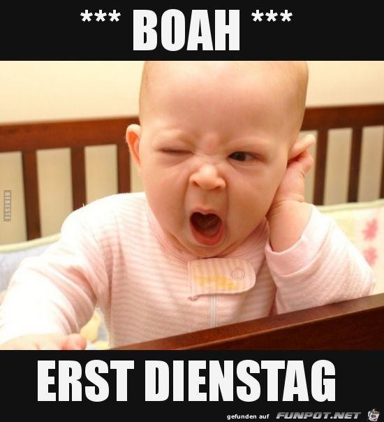 Erst Dienstag