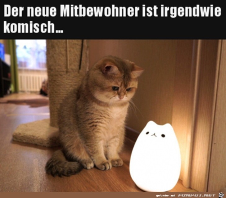 Komischer Mitbewohner