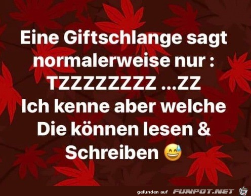 Giftschlange