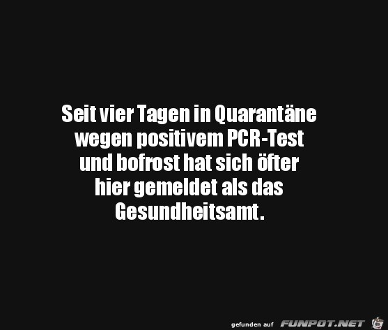 In der Quarantne