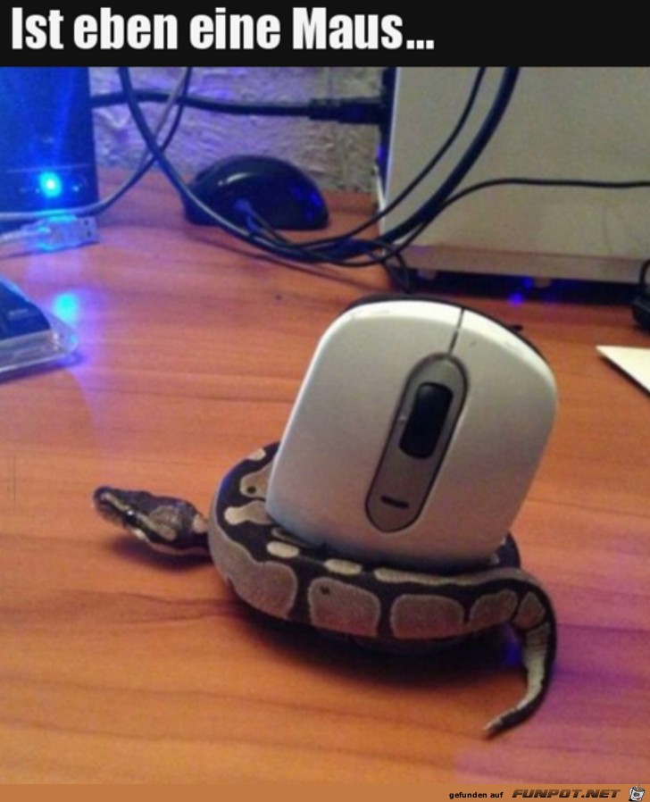 Sie hat die Maus Sie hat die Maus
