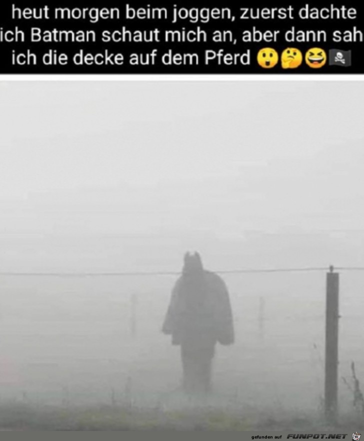 Pferd mit Decke