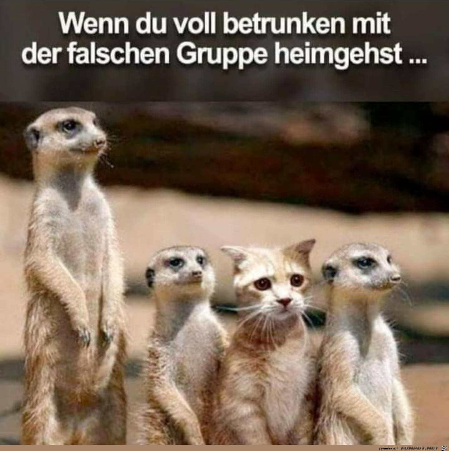 falsche Gruppe