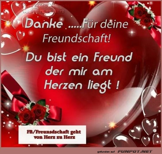 Danke fuer deine Freundschaft