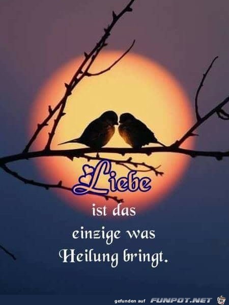 Liebe ist das einzige was Heilung bringt