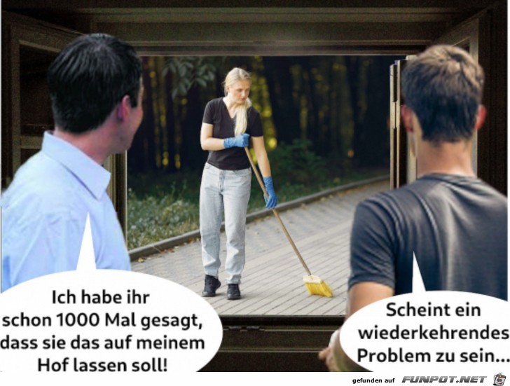 Wiederkehrendes Problem