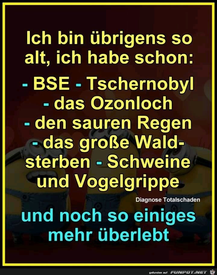 Ich bin so alt Ich bin so alt