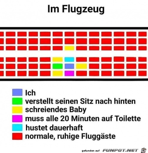 Immer im Flugzeug