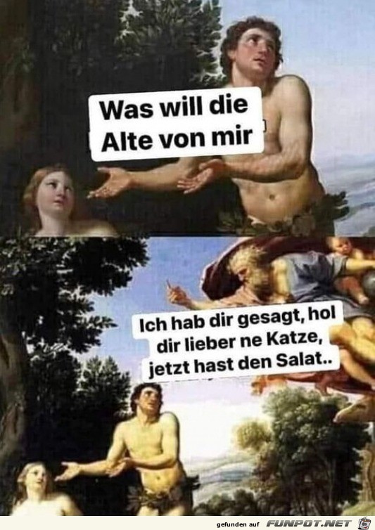 Jetzt hast du den Salat