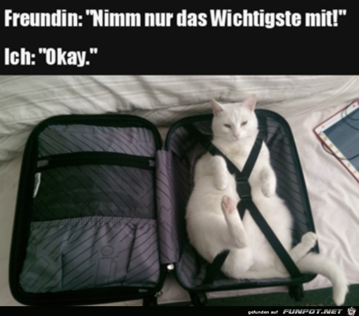 Im Koffer das Wichtigste