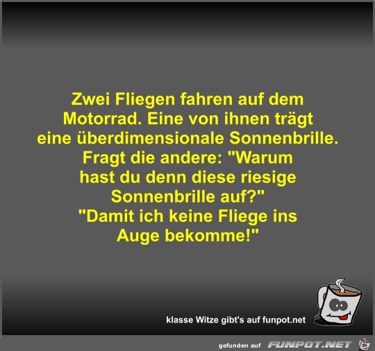 Zwei Fliegen fahren auf dem Motorrad