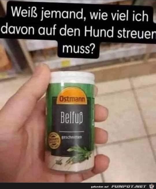 Beifuss