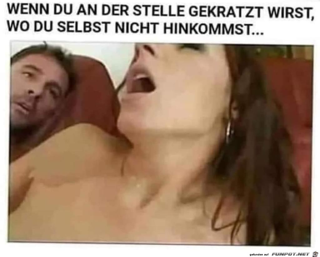 witzige Bilder aus verschiedenen Blogs