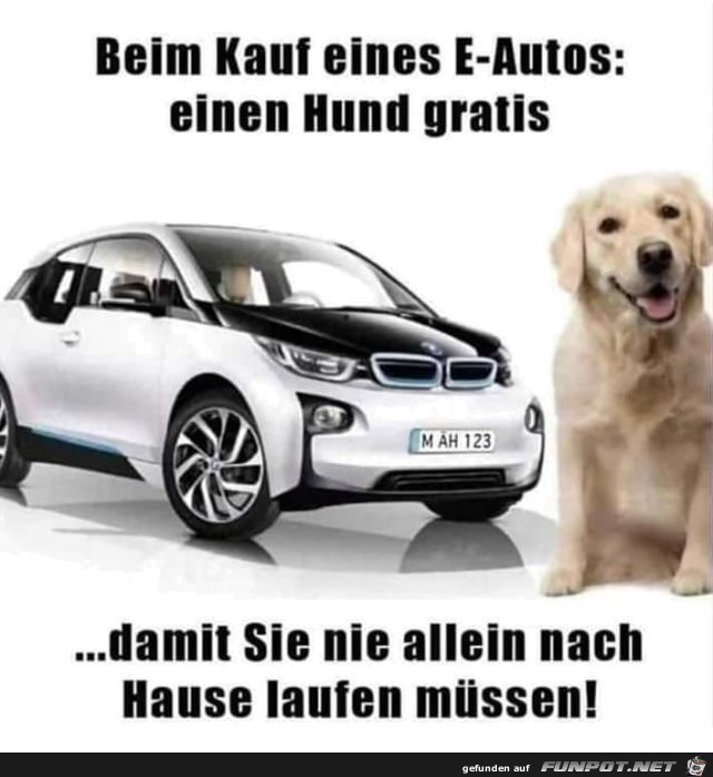 Gratis Hund