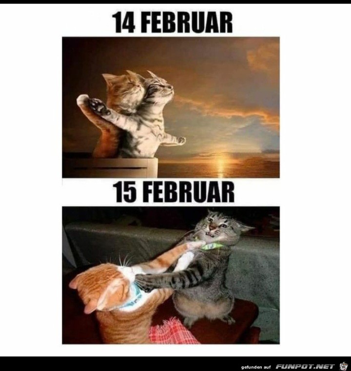 15. Februar