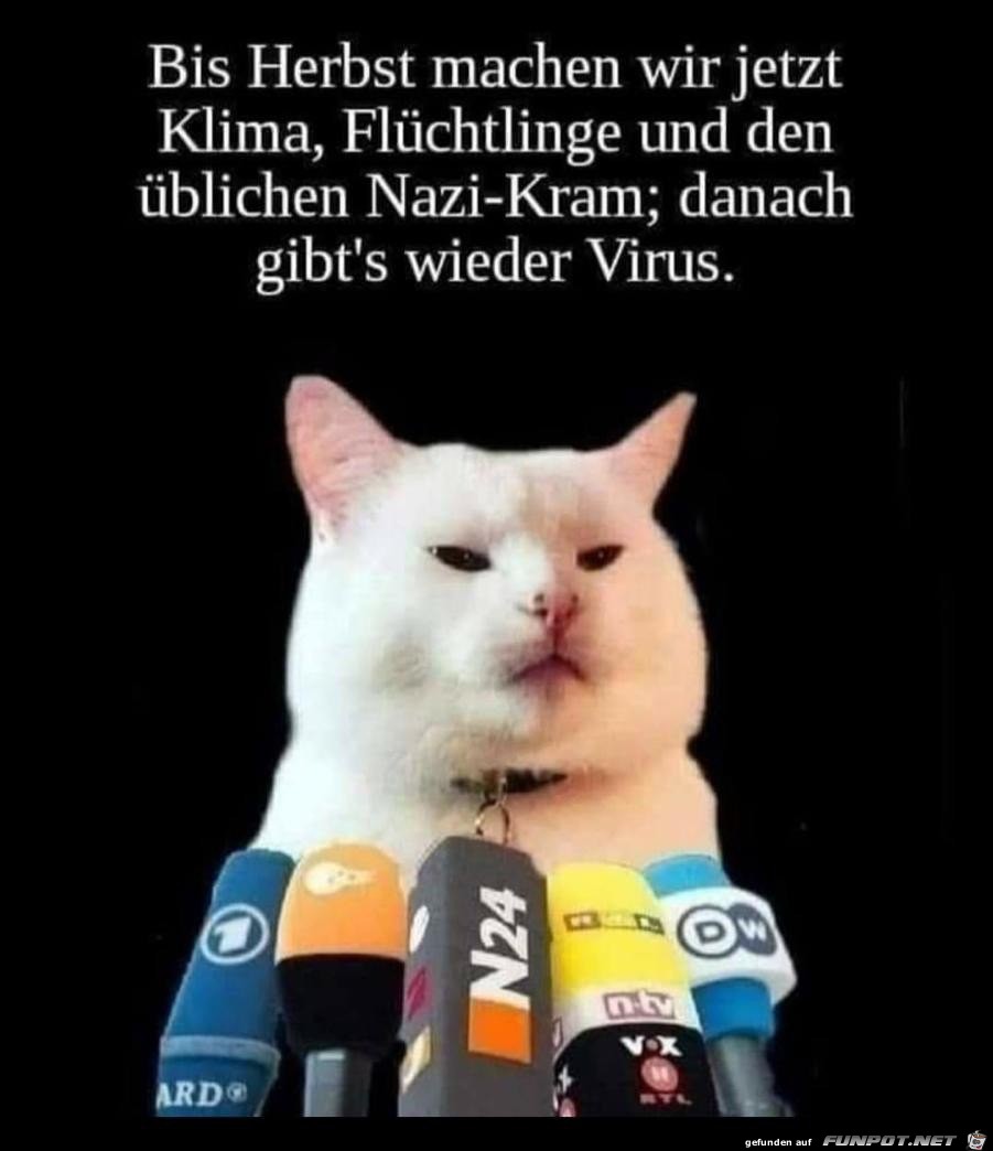 Ansage einer Katze