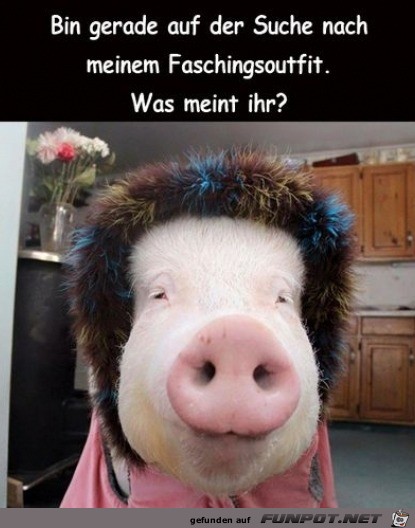Tolles Faschingsoutfit