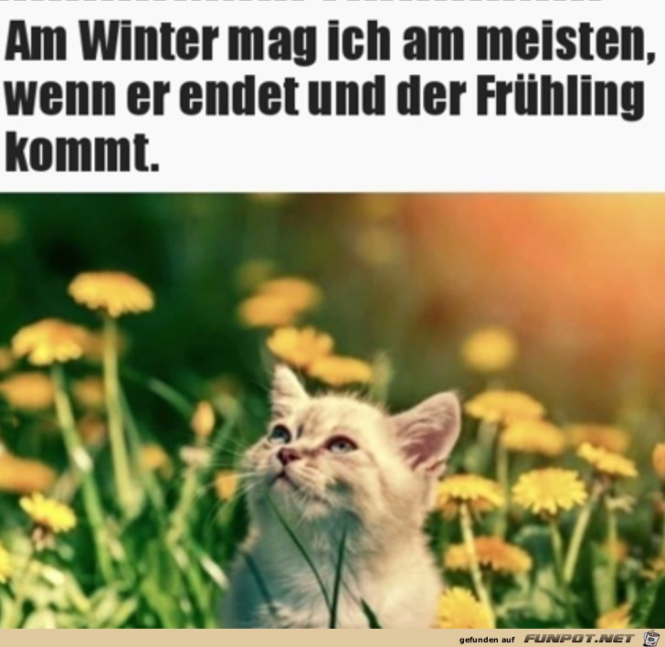 Ich mag den Frhling