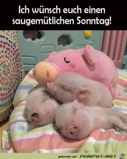 Saugemtliches Wochenende