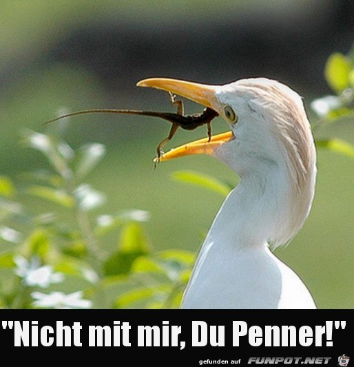 Nicht mit mir