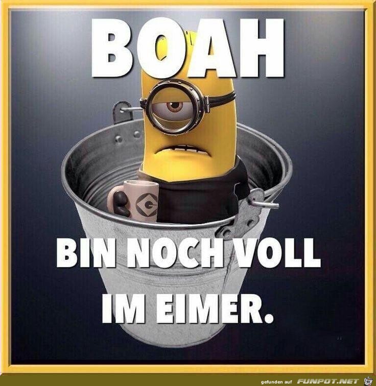 BOAH BOAH