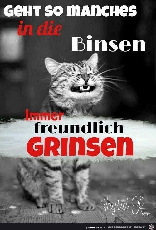 Grinsen