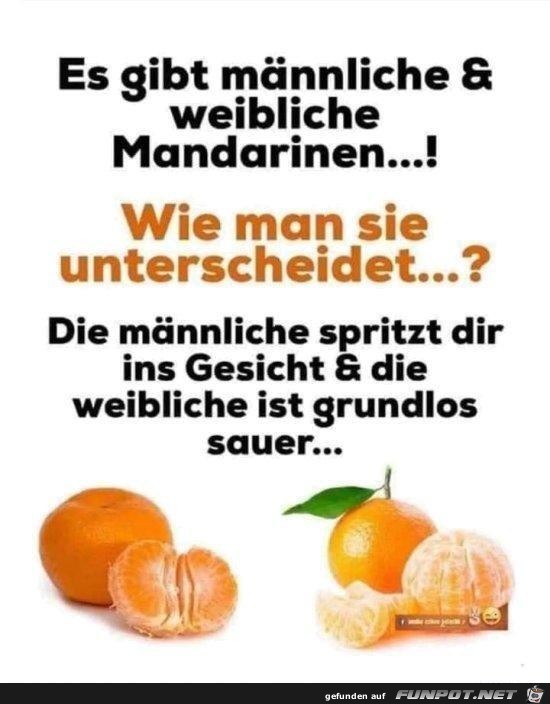 Mandarinen