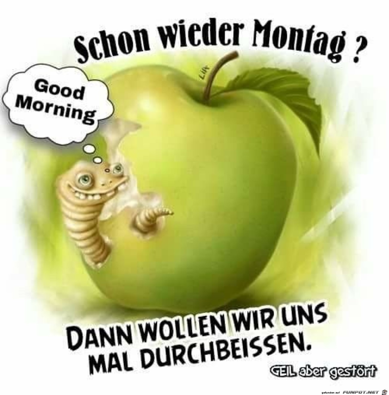 Montag