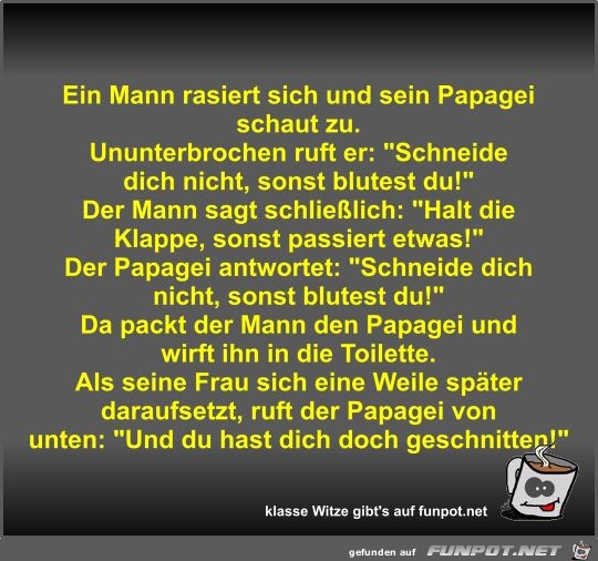 Ein Mann rasiert sich und sein Papagei schaut zu