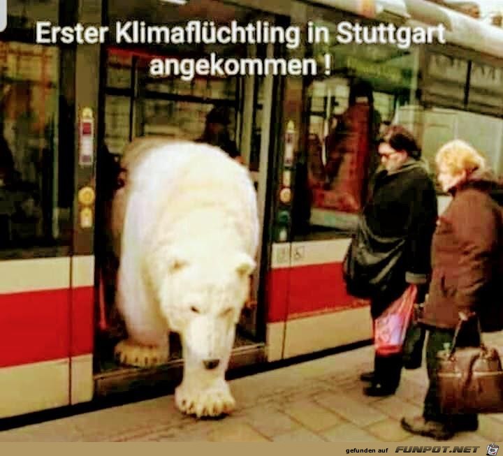 Klimafluechtling