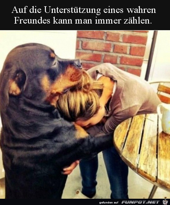 Ein wahrer Freund