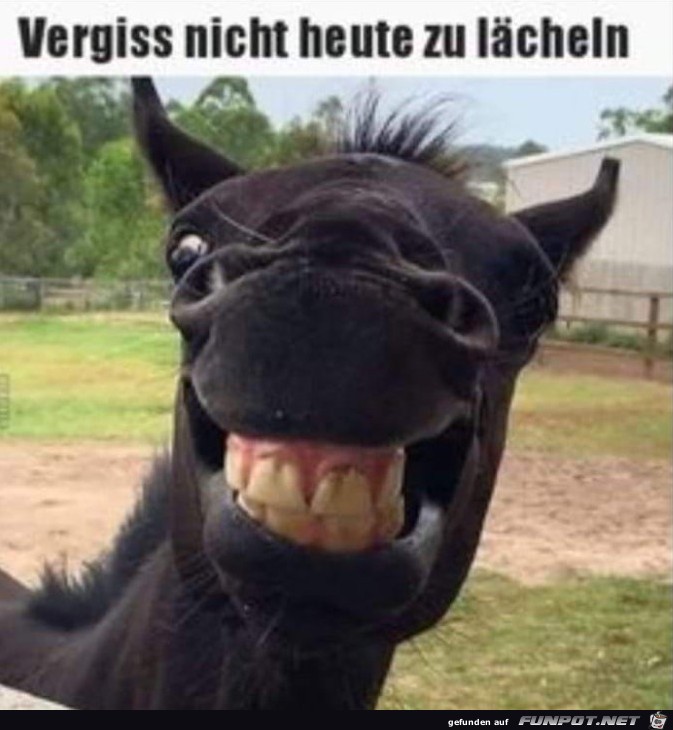 Laecheln